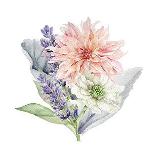 花卉賀卡專題 精選模板與圖片素材下載