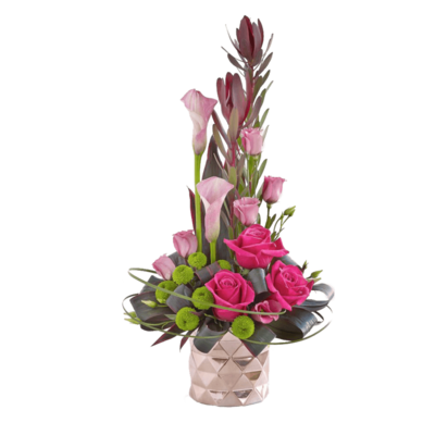 真實花卉高清圖片免費下載指南